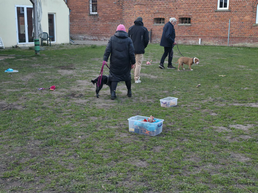 Hundetraining-Hundeschule-Hunde-staerken